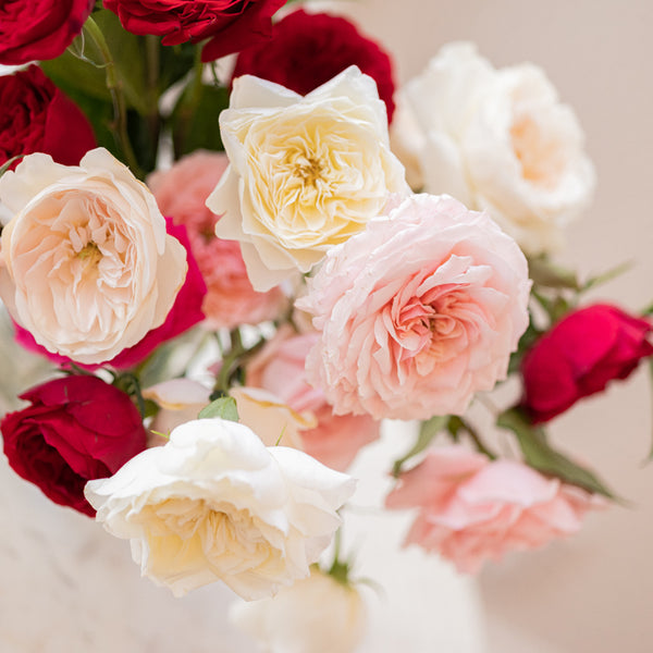 up close red white and cream rose bouquet