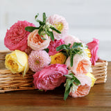 Bouquet of the Week
