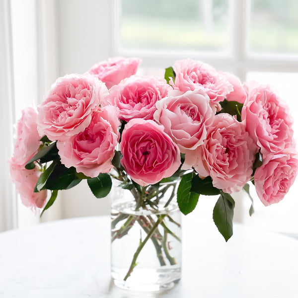 Mayra's Rose