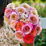 Fall Entertainer's Bundle