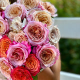 Fall Entertainer's Bundle