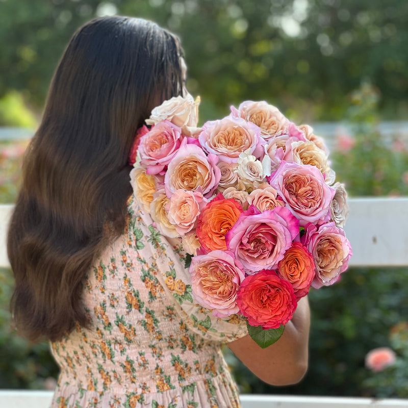 Fall Entertainer's Bundle