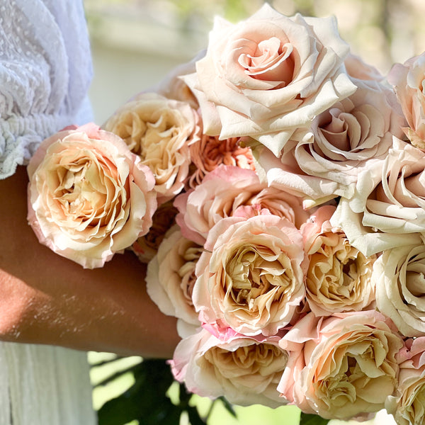 Nude Garden Rose Bundle