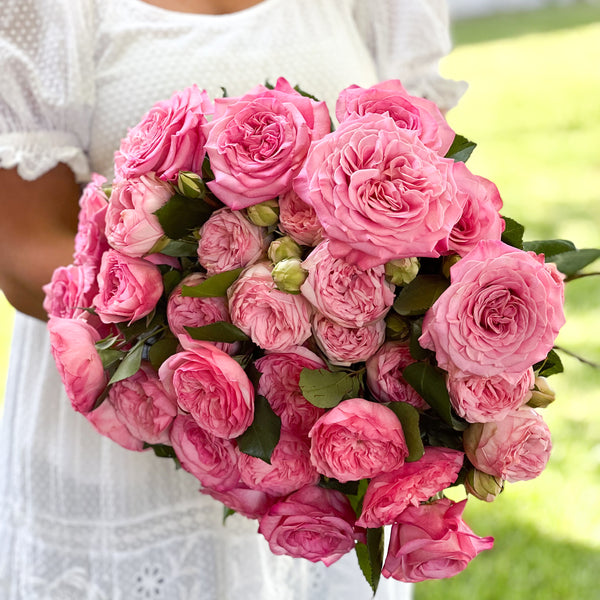 Classic Pink Roses Garden Bundle