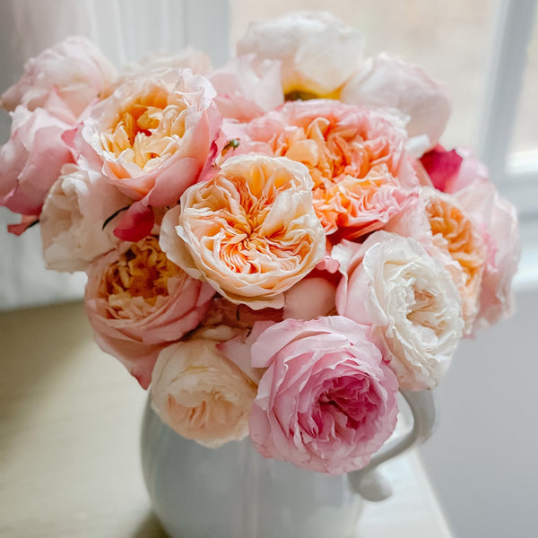 Rosey Posey