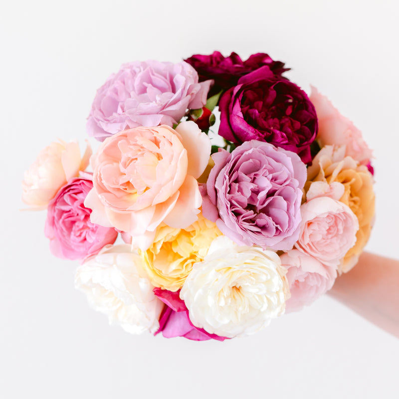 Rosey Posey