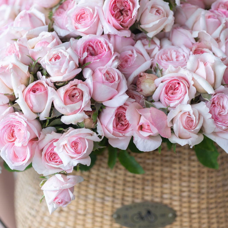 GARDEN ROSES: The Complete Guide to Growing & Arranging Spectacular Blooms *Signed Copy*